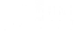 uniqlo-logo-blanco-300x134